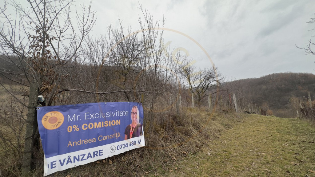 0% Comision Teren intravilan 814 MP-Stefanesti-Valea Mare Po