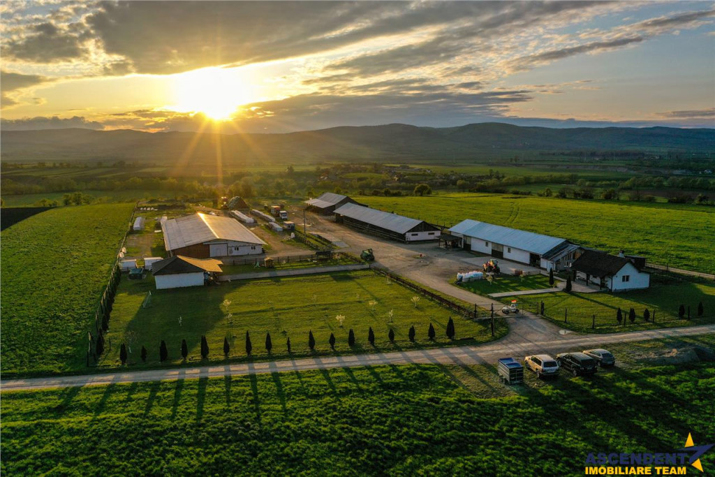 FilmTur 3D! Ferma Anexe specifice Constructie 222.000 mprezi