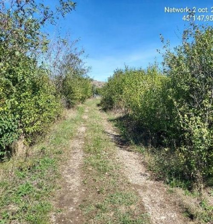 Teren intravilan Loc. Baicoi, Jud Prahova-id 17235