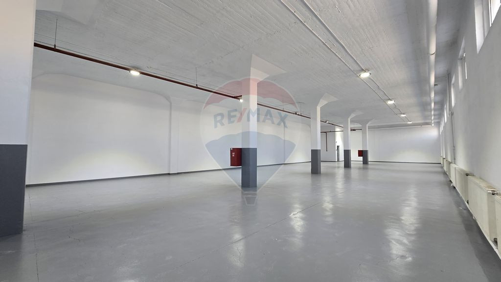 Depozit de închiriat în zona Valea Cascadelor