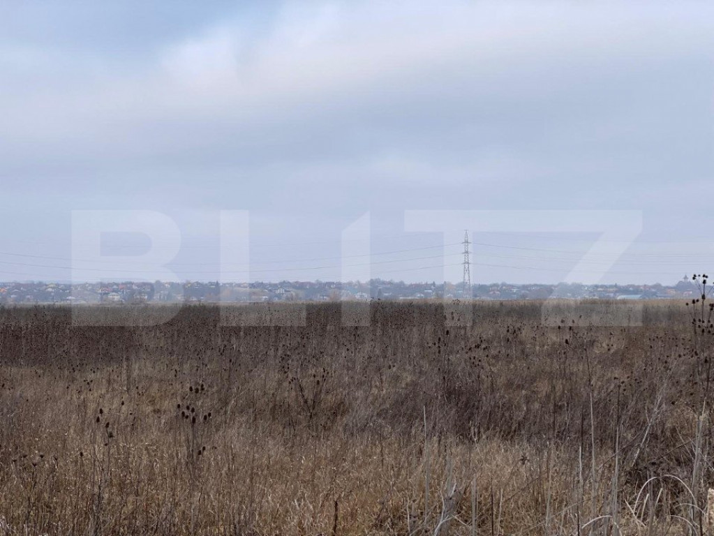 Teren intravilan de vanzare, 9000 mp, zonă Industrială, Ia