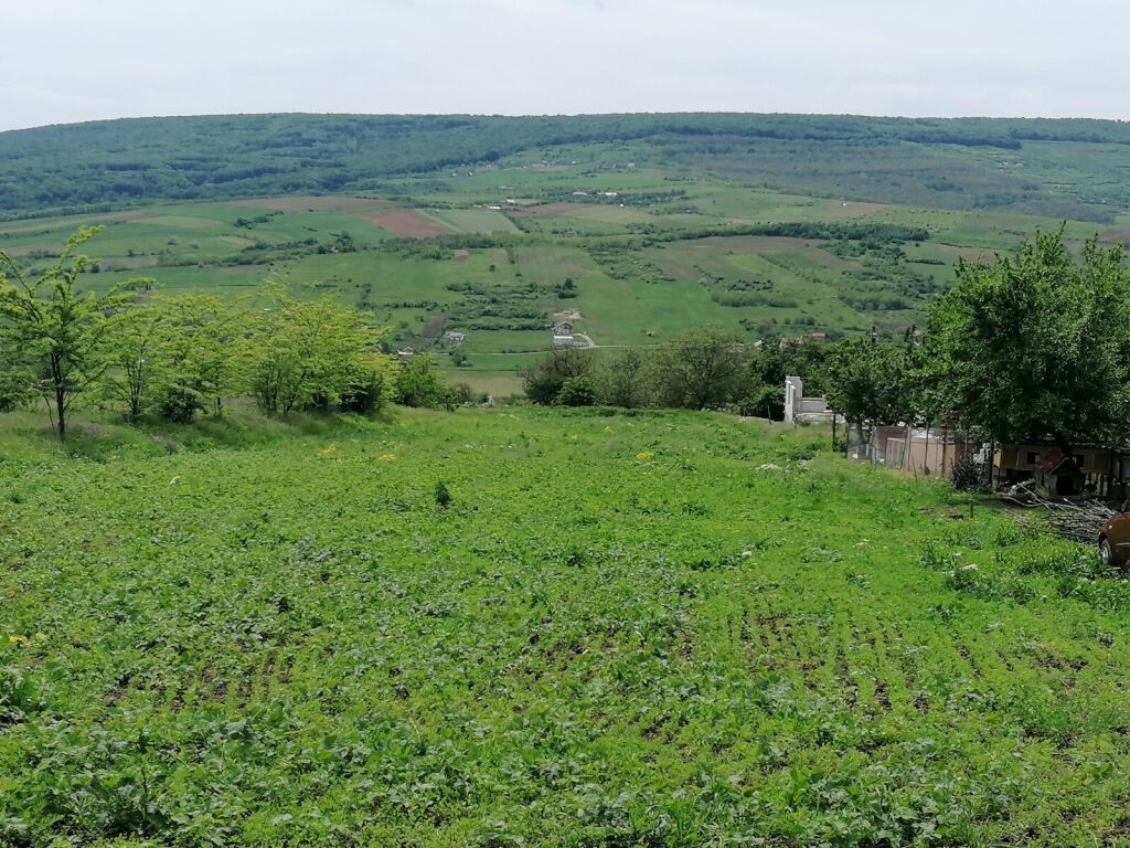 Chicerea, tomesti, teren de 3000 mp