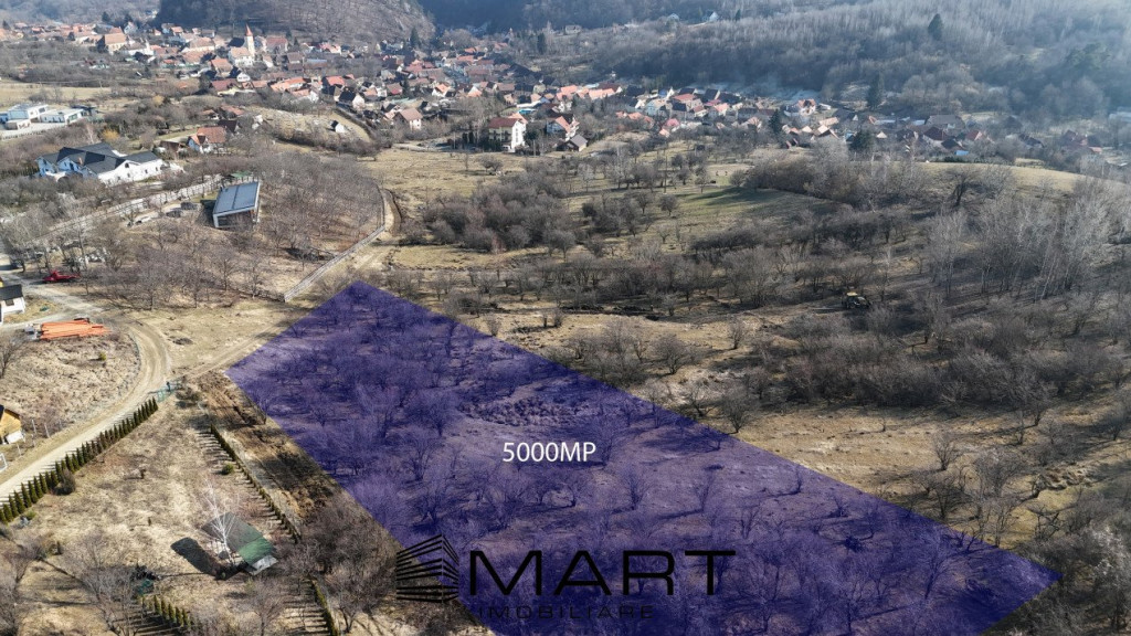 Teren intravilan 5000mp cu PUZ aprobat, CU si utilitati in C