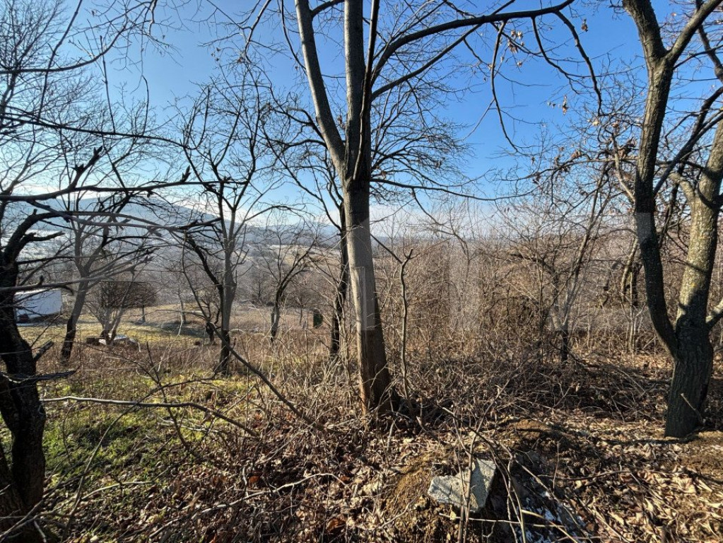 Teren intravilan de vanzare, 17700 mp Zalau