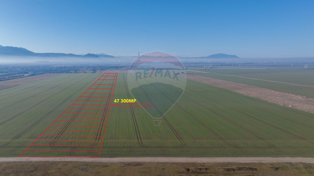 De vanzare teren de 47.300 mp în Cartierul Izvor, Tărlu...