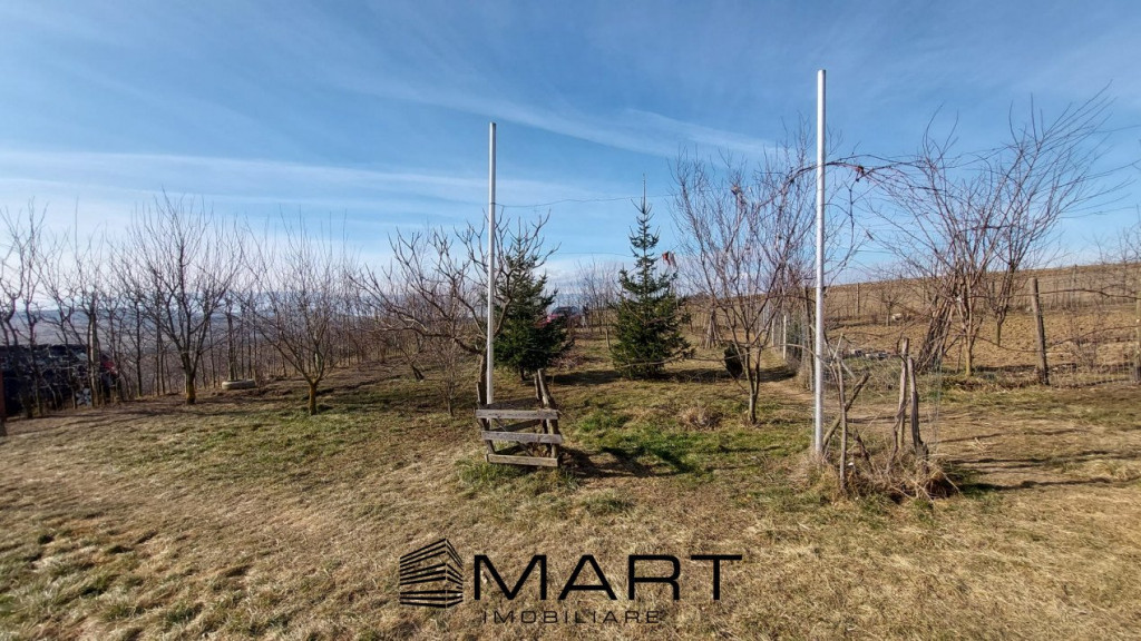 Cabana cu teren 3000mp zona Dealul Daii