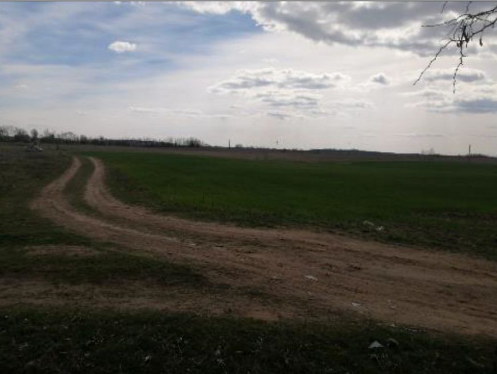 Teren extravilan Sat Jiana Veche, Com. Jiana, județul Me...