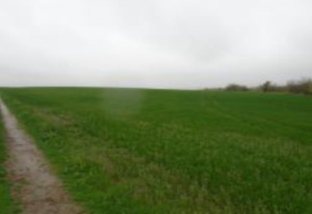 Teren extravilan 12500 mp, Valea Mare, Olt