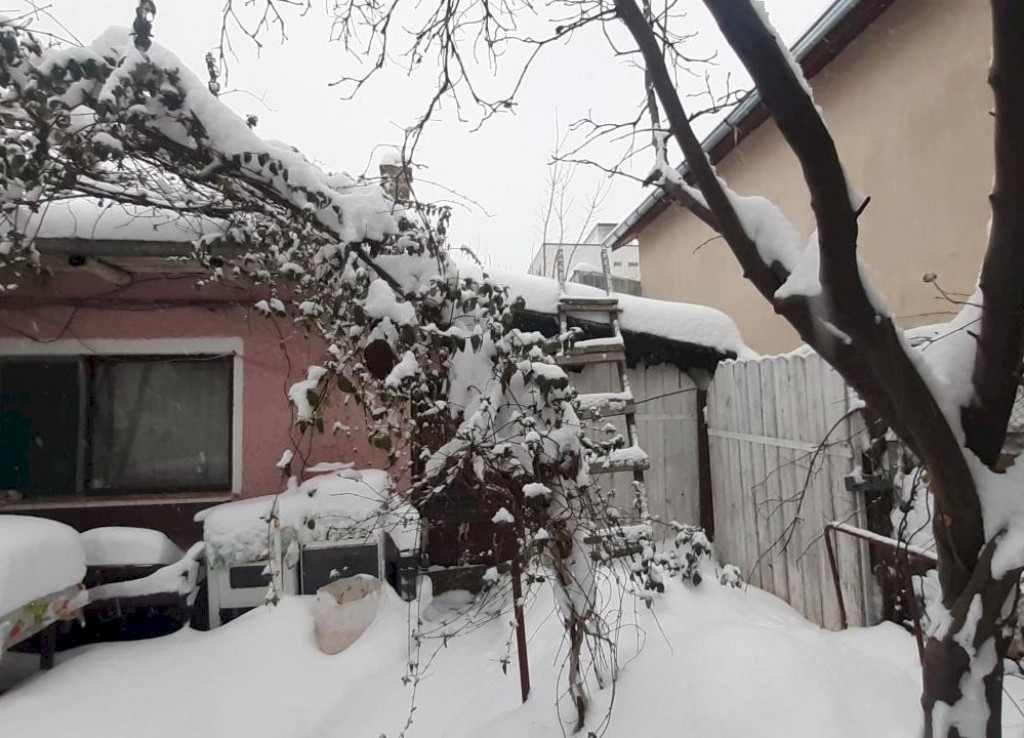 Alunișului - Casă cu teren la 10 minute de Metrou și Parc