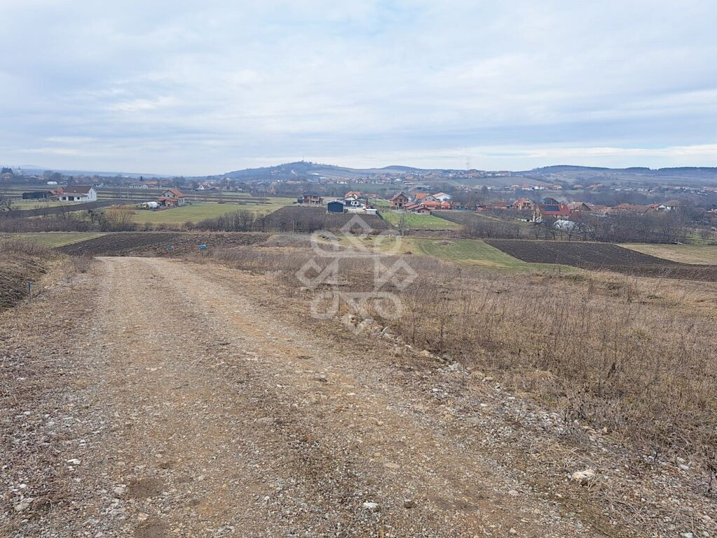 Teren extravilan 4922 mp in Lugasu de jos