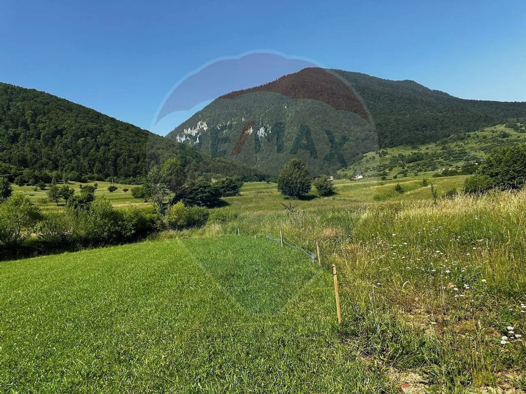 Teren intravilan 2.432 mp, de vânzare, Zărnești