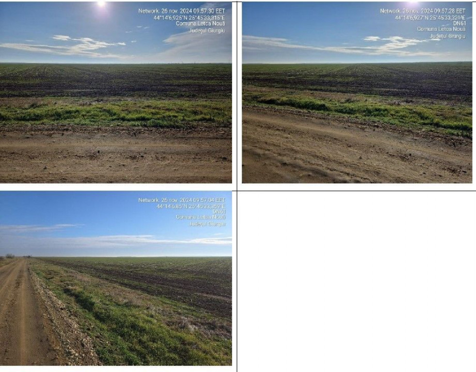 Teren cota parte 1/2 Letca Noua, ID: R2336734
