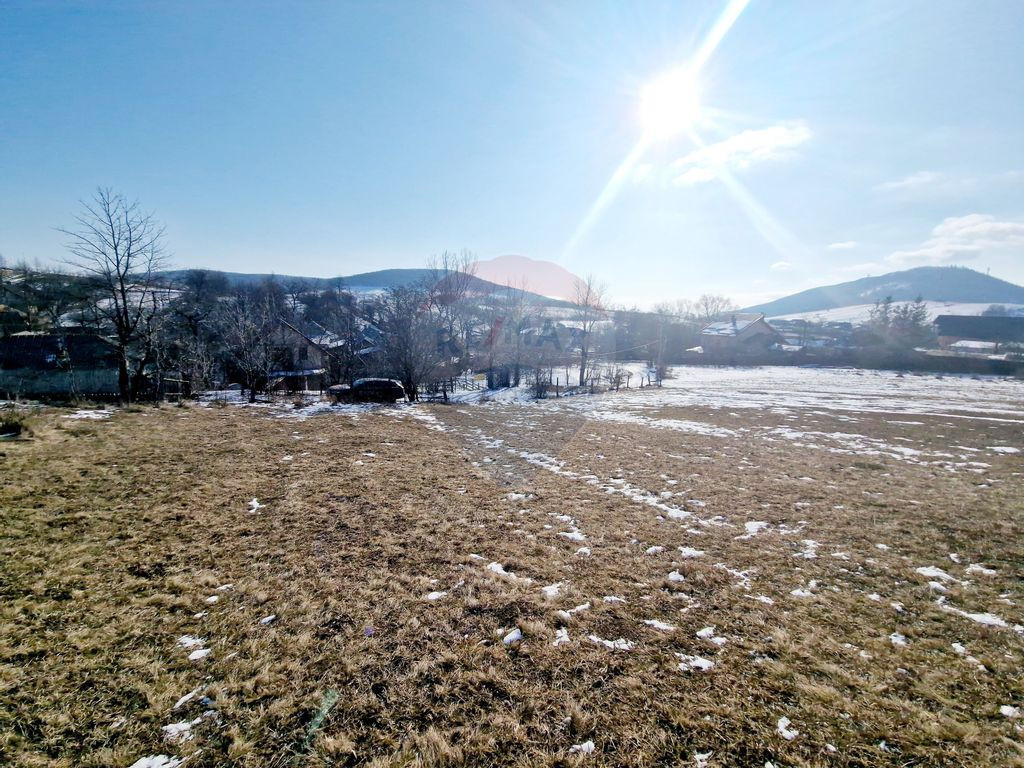 Teren 2,344mp Garcina / Aleea Coasta lui Bojoaga