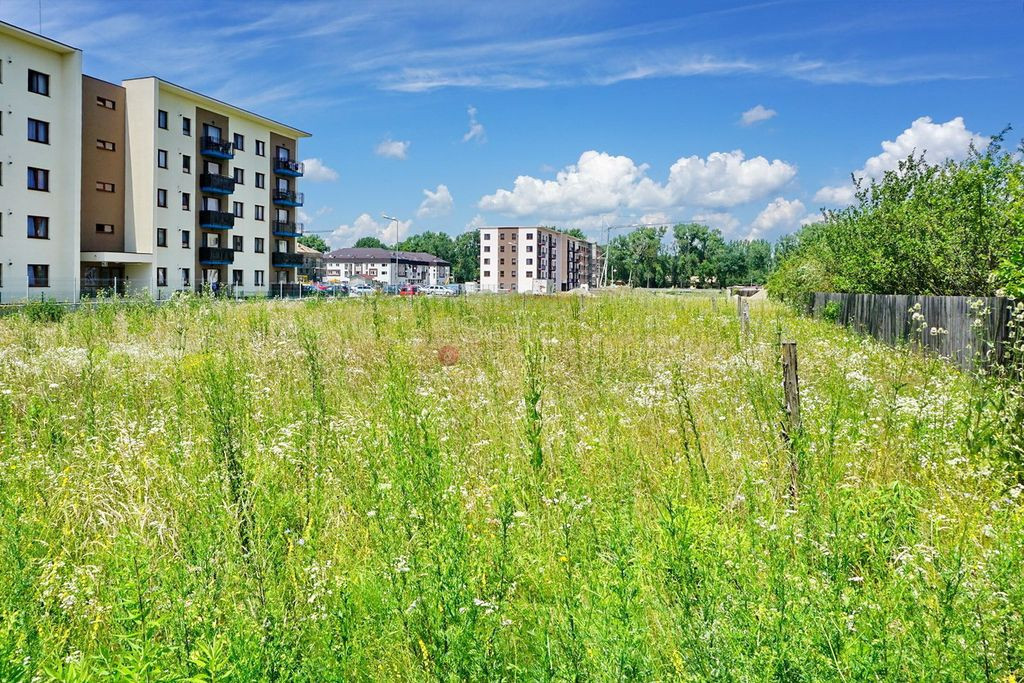 Teren Intravilan - Pretabil Investitie - Dezvoltare Rezid...