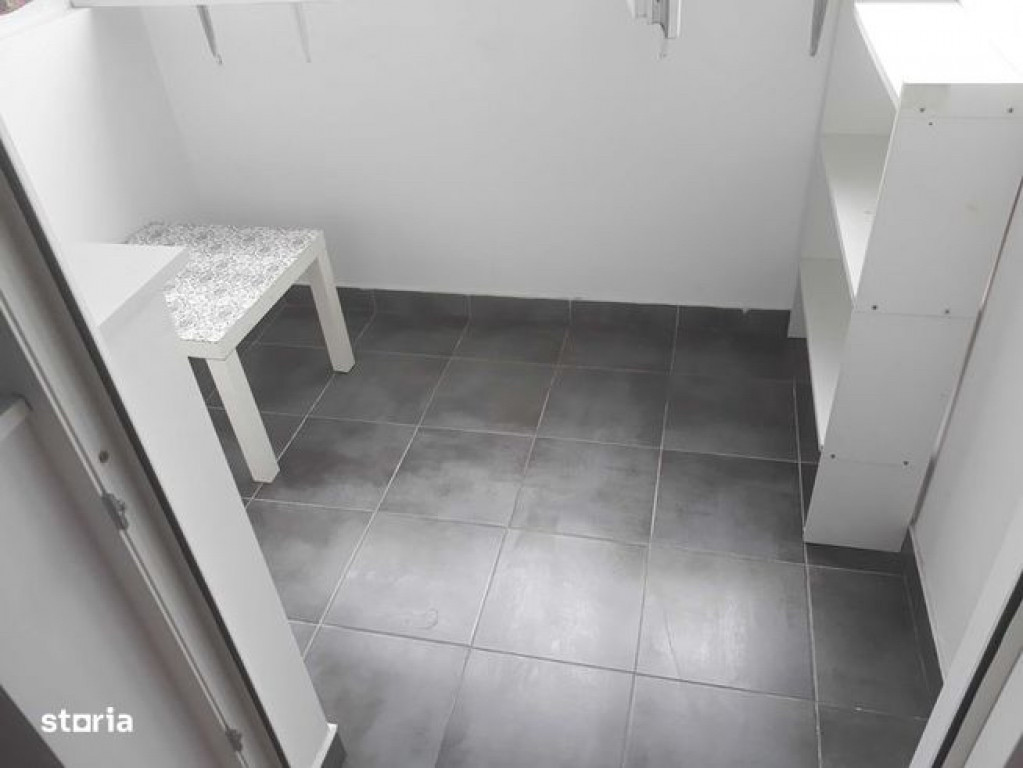 Brancoveanu luica sud park city