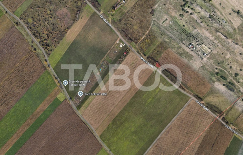 Teren extravilan de vanzare 2500 mp parcelabil zona Gusterit