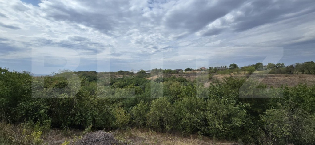 Teren 579 mp si deschidere de 14 ml, zona Carcea