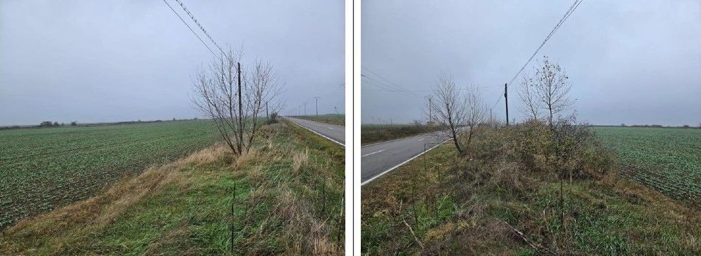 Teren Budesti, ID: R2362337