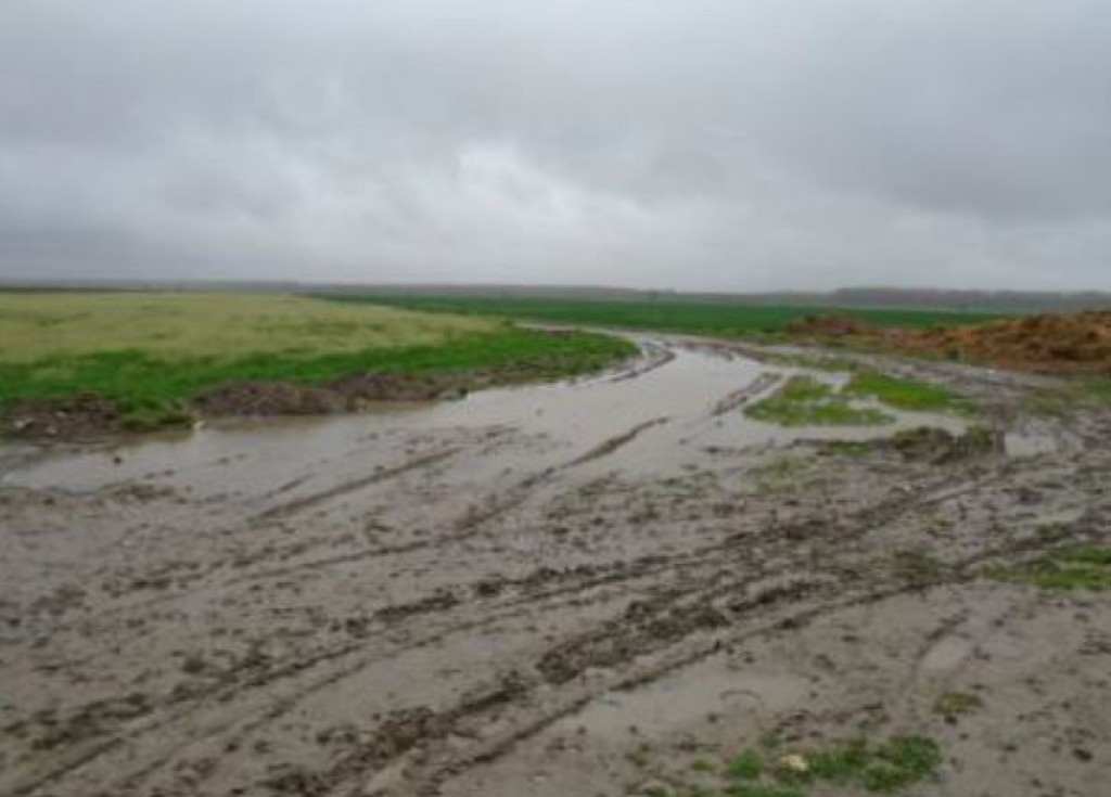 Teren extravilan arabil