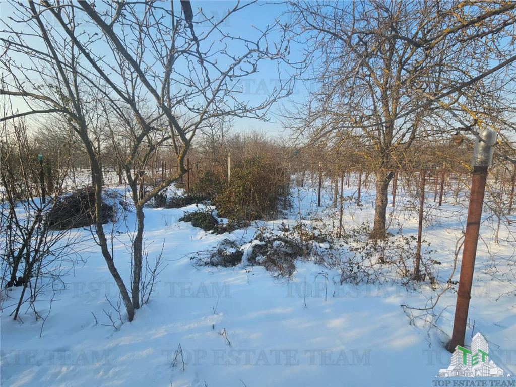 Teren 2400mp stradal casa batraneasca in Mihai Voda Giurgi