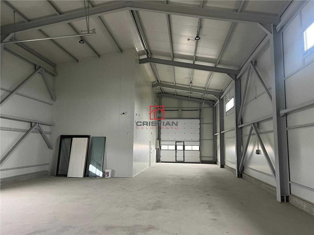 Depozit/hala/spatiu industrial Domnesti - Centura