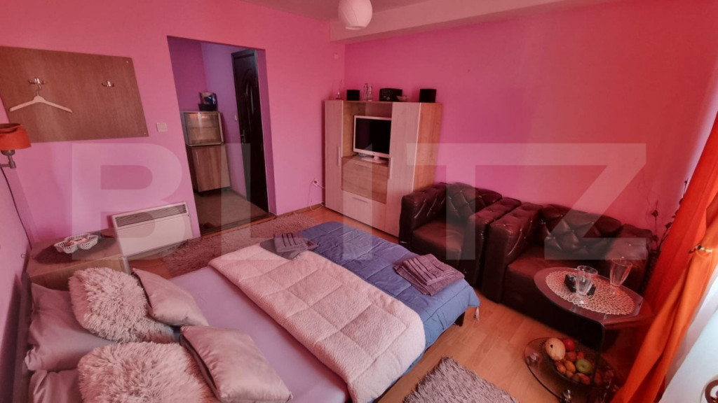 Camera de Camin modernă, 21 mp cu baie si bucatarie proprie