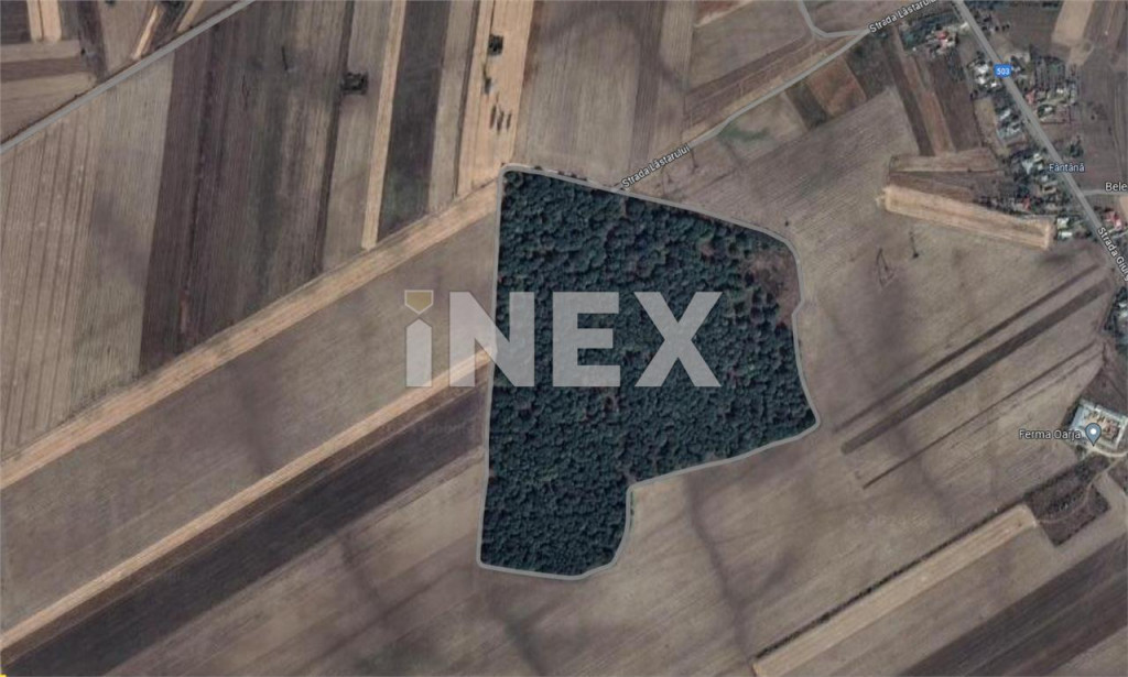 Padure 20 ha stejar neexploatat la Oarja