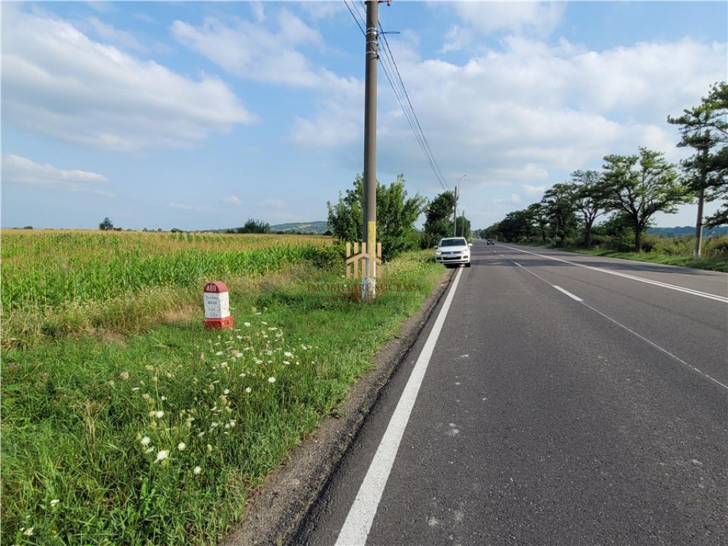 Teren 24800 mp - Vama Siret!