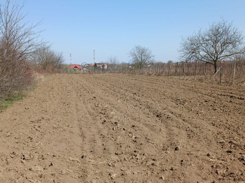 Teren extravilan 2400 mp in Afumati