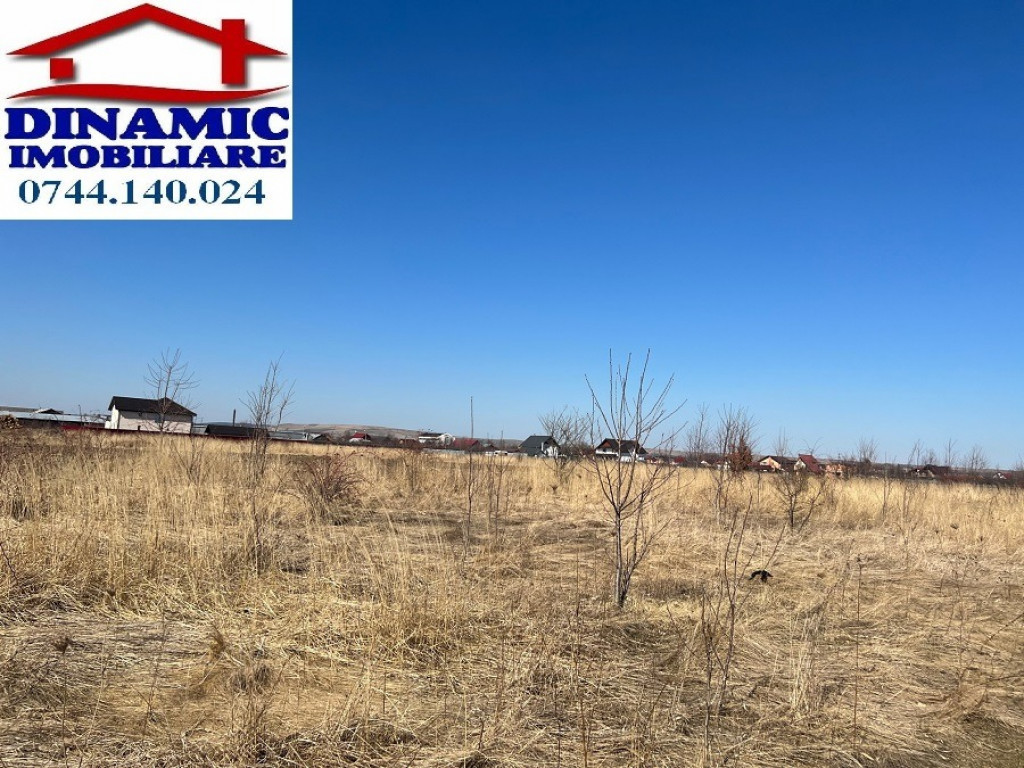 Teren 585 mp Dumbrava Roșie, str. Crângului. Preț 14 euro/mp