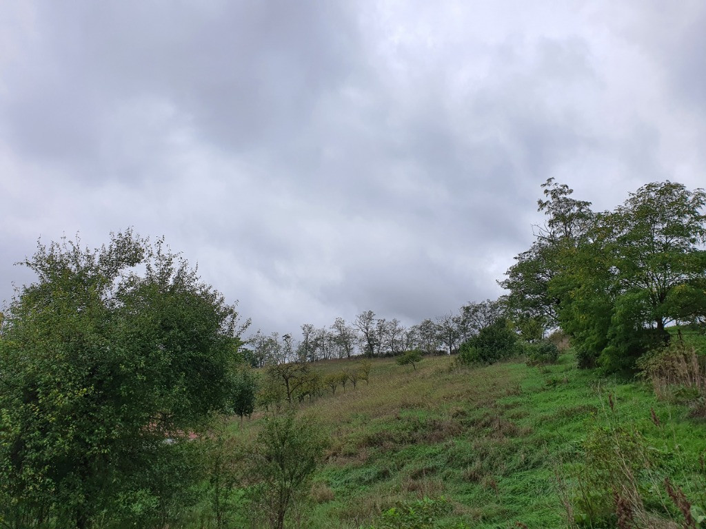 Teren pretabil pentru constructie casa, situat in Cristur