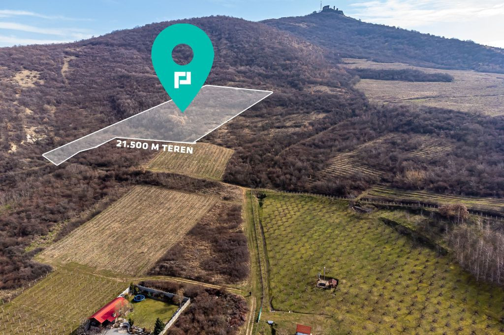 Teren pe deal la Șiria