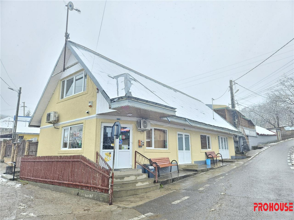 Luizi Calugara - spatiu comercial - stradal - renovat