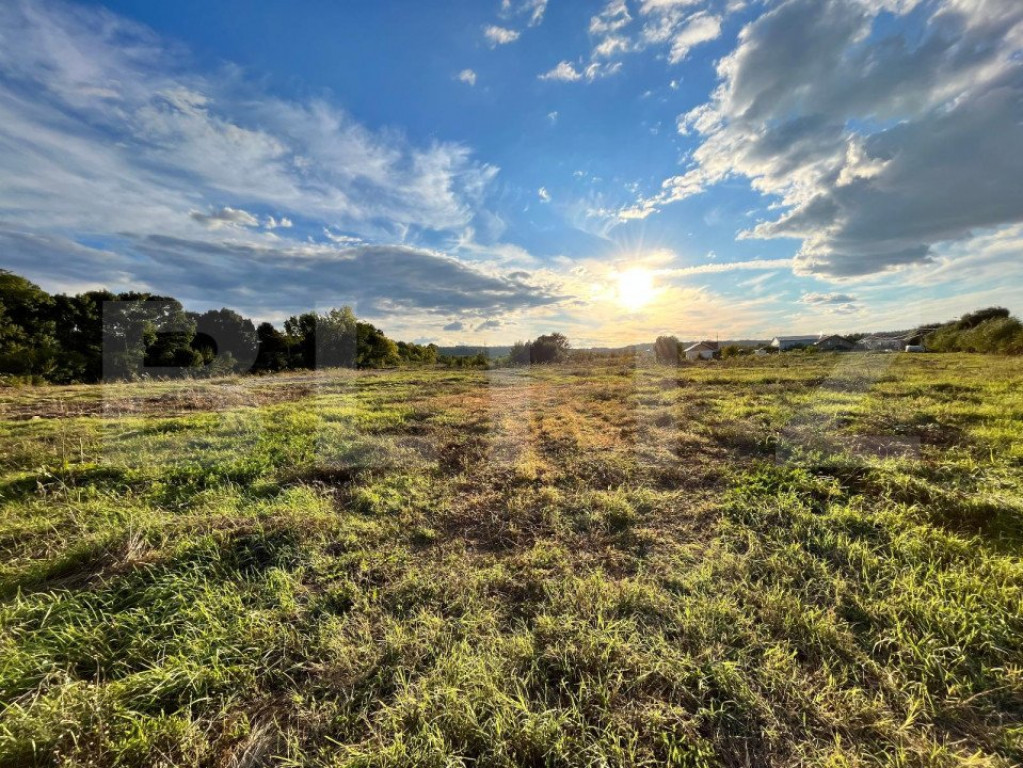 Teren extravilan, 15.000 mp cu front 131 m, cartier Popoven