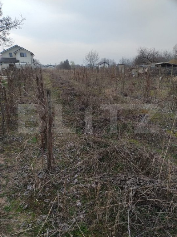 Teren intravilan 1811 mp, cu utilități, zona Malu Mare!