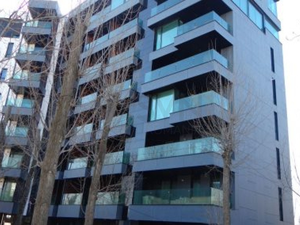 Studio Blue Bike Mamaia