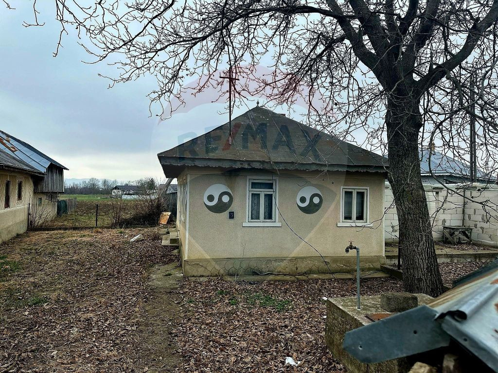 Casă cu 3 camere de vânzare