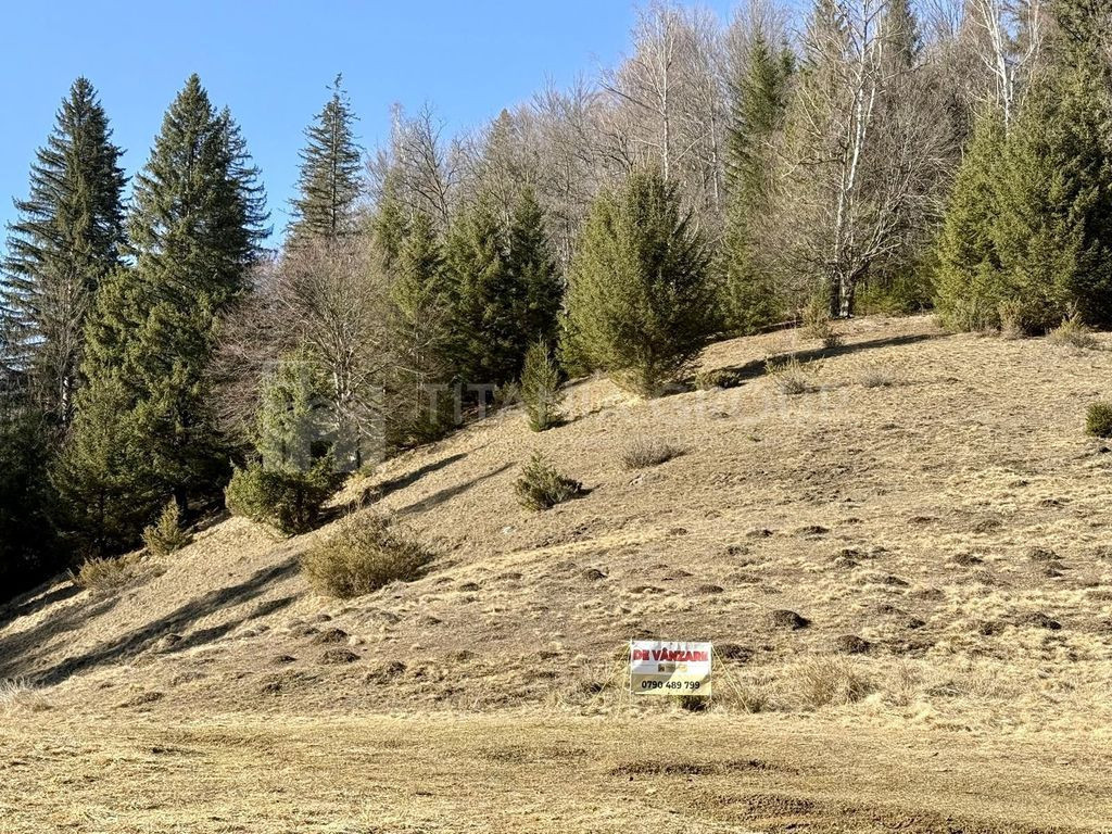 Teren intravilan langa Poiana Brașov, 52 mp front strdal...