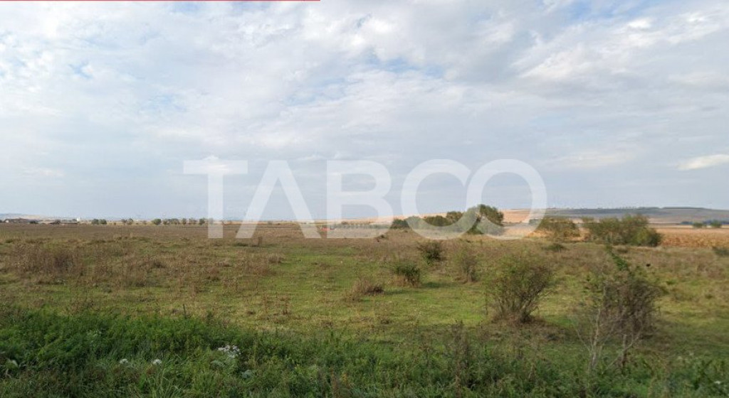 Teren intravilan de vanzare in zona industriala din Sura Mic