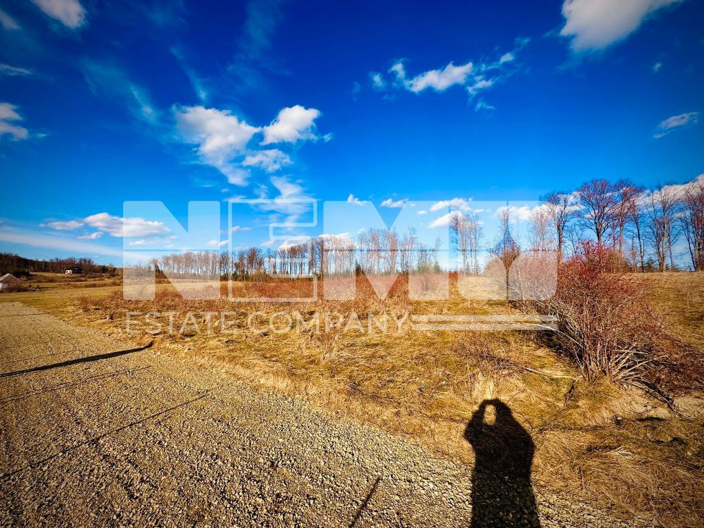 Teren intravilan | 48 ARI | Voivodeasa