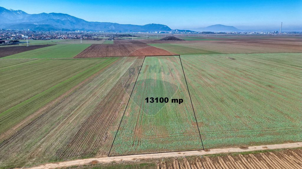 Teren Extravilan de Vânzare – Oportunitate de Investiție