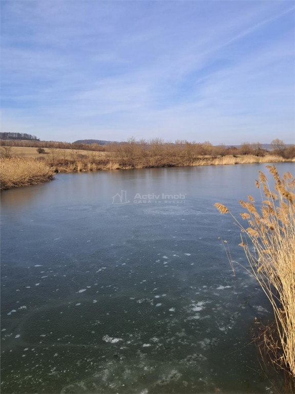 Teren cu lac perfect pentru agrement sau investitie