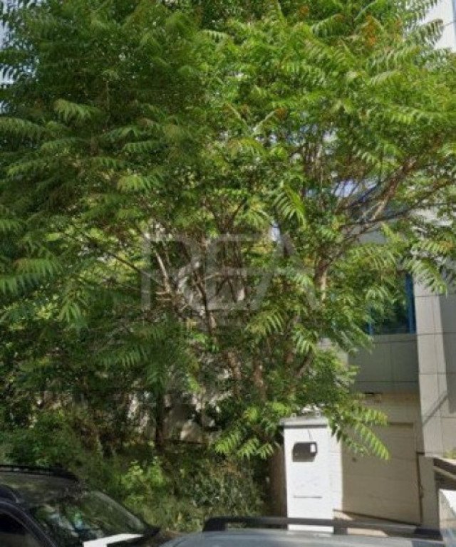 Teren intravilan de vânzare – Grozăvești | 211 mp