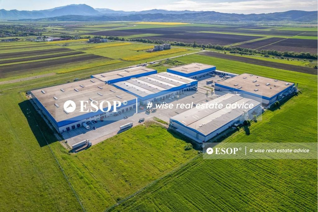 Hala modulara 1000mp, zona Triaj