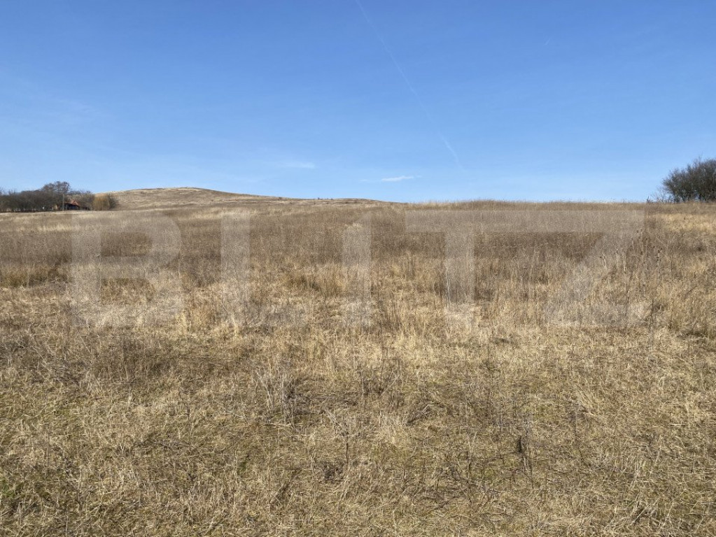 Teren extravilan in suprafata de 140551 mp in loc. Recea