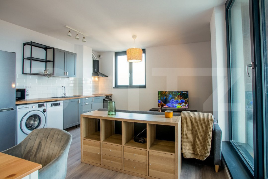Apartament cu 2 camere, zona Take Ionescu (ISHO)