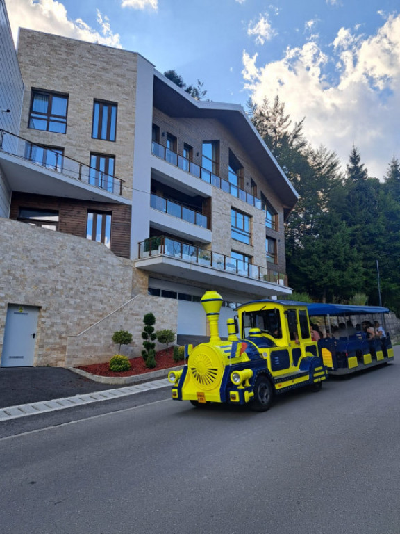 VAND PENTHOUSE 280 MP IN VILA + GARAJ LUX IN SINAIA PH COTA