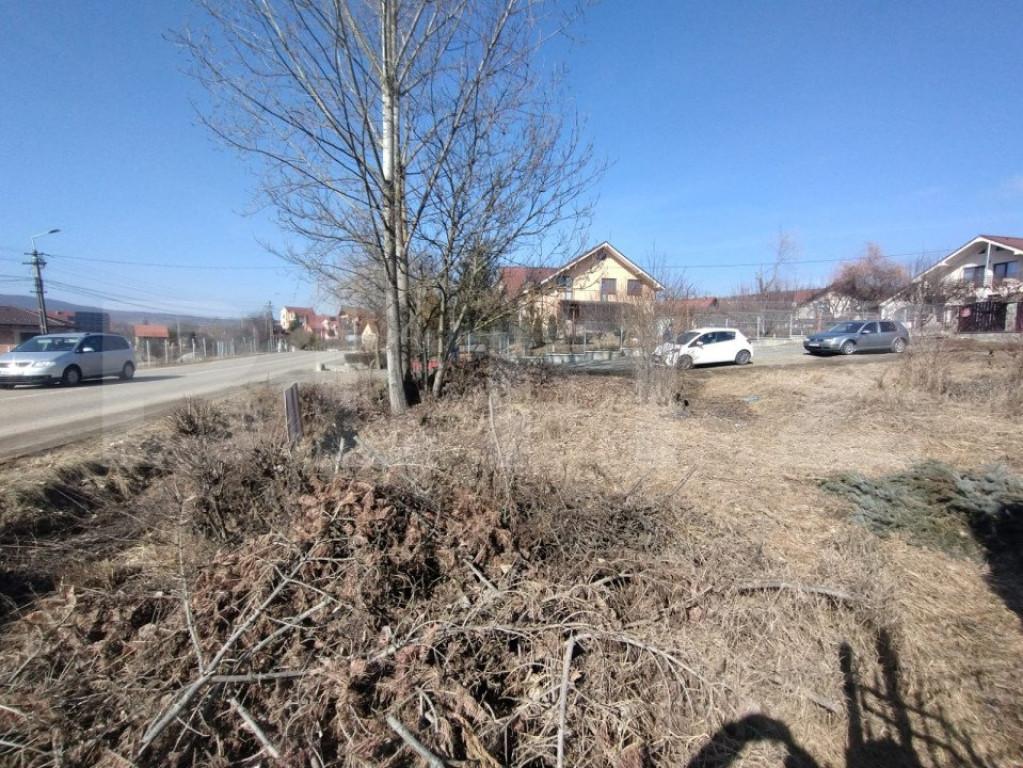 Teren intravilan 500mp(5 ari)la drumul pricipal,Valea Sigmir
