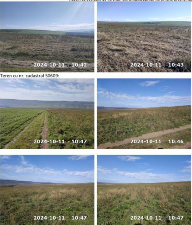 Teren arabil Bozieni