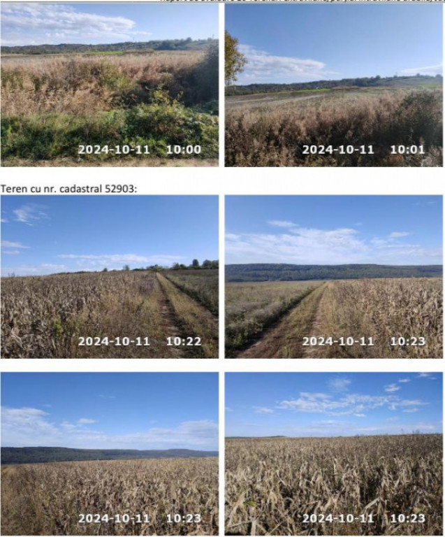 Teren extravilan comuna Pancesti